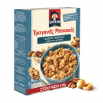 QUAKER WITH  NUTS 450  GR