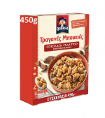 QUAKER CHOCO MILK  450  GR