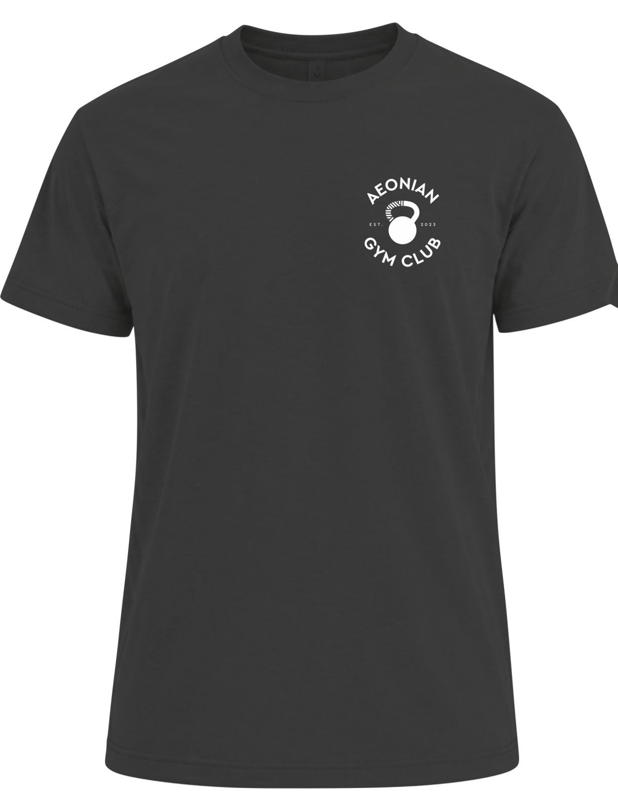 IMG_8178 Aeonian Gym - Dry Fit Tshirt (Medium) - Image 1